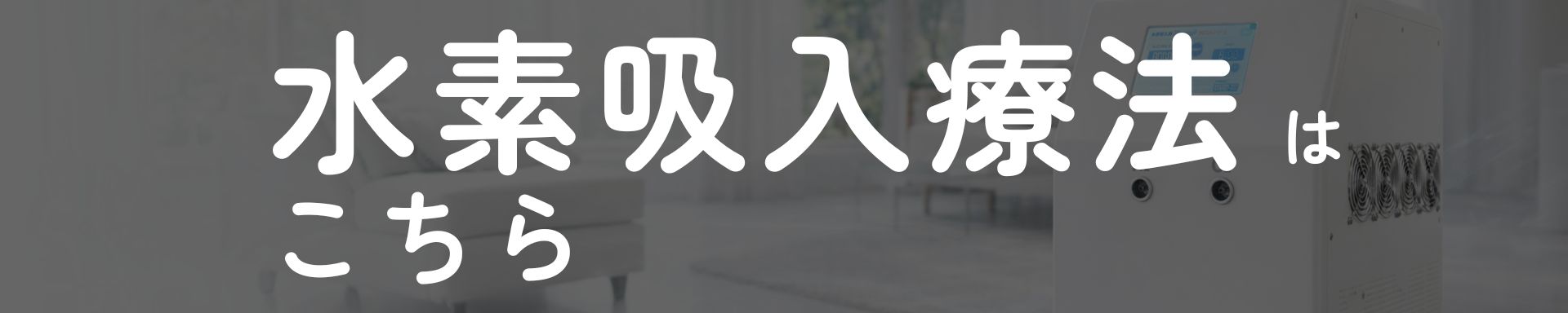 水素吸入器 MEGA2400