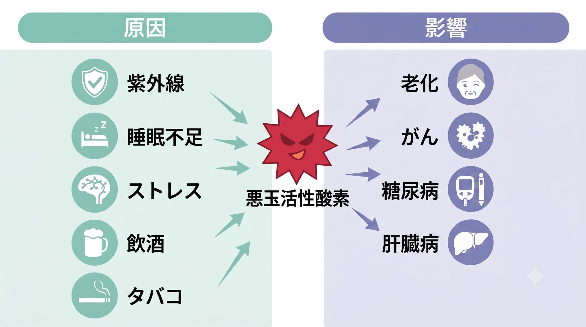 悪玉活性酸素の説明イメージ画像